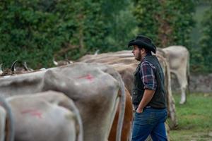 Bergamo italy 2022 Livestock Fair, the largest cattle show in the Bergamo valleys photo