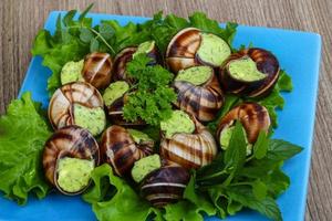 Escargot on the plate and wooden background photo