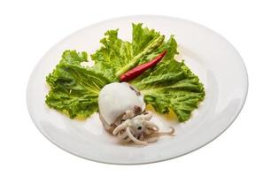Boiled cuttlefish on white photo