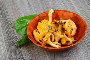 Chanterelle dish view photo