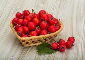 Hawthorn on wood photo