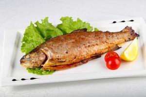 Grilled trout on the plate and white background photo