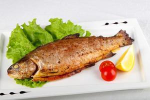 Grilled trout dish view photo