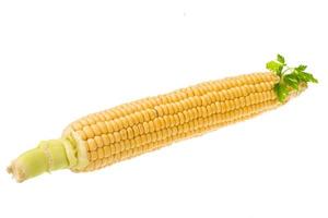 maíz en blanco foto