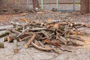 A pile of sawed firewood for heating in winter. Stockpile of firewood during the energy crisis photo