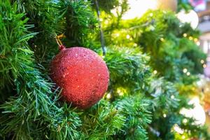 Christmas tree decorated with red ball on pine branches background photo