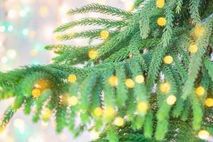 Closeup Christmas tree with bokeh light background photo