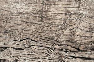 old rustic wood texture background photo