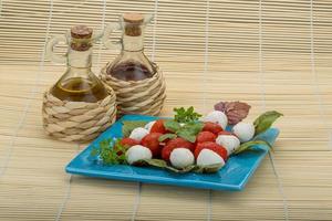 Caprese salad dish view photo