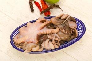 Raw octopus dish view photo
