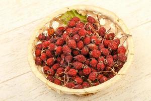 Dry hawthorn in a basket on wooden background photo