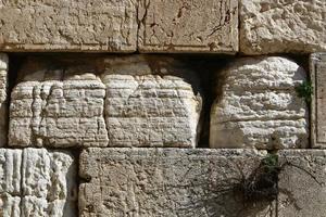 piedras del muro de los lamentos en el monte del templo en la ciudad vieja de jerusalén. foto