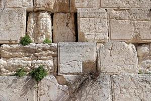 piedras del muro de los lamentos en el monte del templo en la ciudad vieja de jerusalén. foto