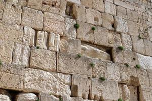 piedras del muro de los lamentos en el monte del templo en la ciudad vieja de jerusalén. foto