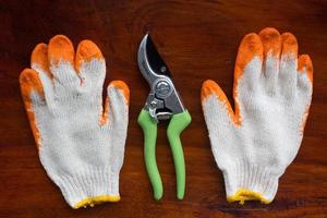 Pruning Shears and gloves photo