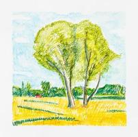 sketch of summer landscape with trees by pencil photo