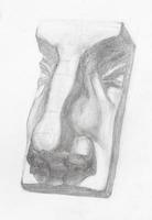 academic drawing - hand-drawn sepate male nose photo