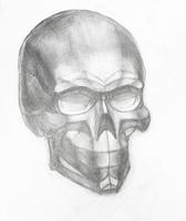 hand-drawn plaster cast of human skull photo
