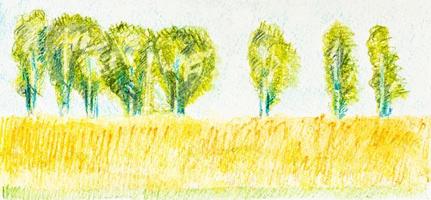 sketch of summer landscape with trees and field photo