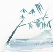 sketch of cane on sea coast in sumi-e technique photo