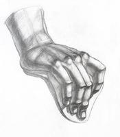 hand-drawn study of plaster cast of male hand photo