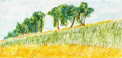 sketch of landscape with trees on hill and field photo
