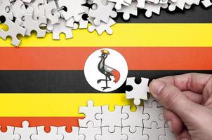 Uganda flag  is depicted on a table on which the human hand folds a puzzle of white color photo