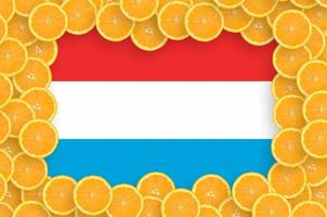 Luxembourg flag  in fresh citrus fruit slices frame photo