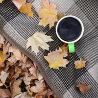 Autumn leaves and hot steaming cup of coffee lies on checkered plaid outdoors photo