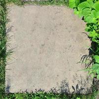 The texture of a flat concrete surface surrounded by grass and a raspberry bush. A blank for a postcard. Landscaped vegetative frame of a concrete background space photo