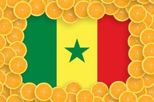 Senegal flag  in fresh citrus fruit slices frame photo