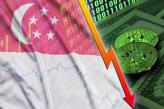 bandera de singapur y tendencia descendente de criptomonedas con dos bitcoins en billetes de dólar y visualización de código binario foto