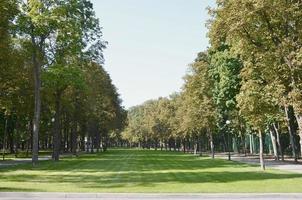 Green and orange trees in beautiful park. Floral and natural autumn landscape photo