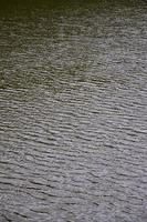 The texture of dark river water under the influence of wind, imprinted in perspective. Vertical image photo