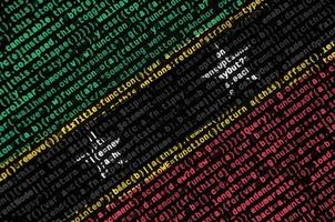 Saint Kitts and Nevis flag  is depicted on the screen with the program code. The concept of modern technology and site development photo