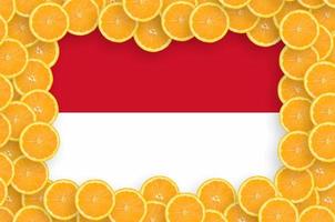 Indonesia flag  in fresh citrus fruit slices frame photo