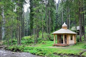 Small natural house, which is built of wood. The building is located in the forest photo