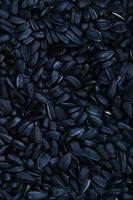 A pattern of many unprocessed fried sunflower seeds in a black shell. photo