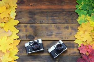 Two old cameras among a set of yellowing fallen autumn leaves on a background surface of natural wooden boards of dark brown color photo