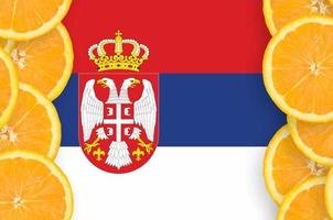 Serbia flag  in citrus fruit slices vertical frame photo