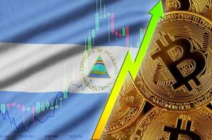 Nicaragua flag and cryptocurrency growing trend with many golden bitcoins photo