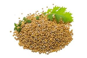 Mustard seeds on white photo