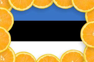 Estonia flag  in fresh citrus fruit slices frame photo