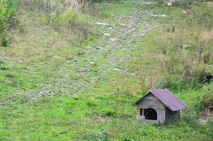 una pequeña caseta de perro al aire libre en un campo de hierba foto