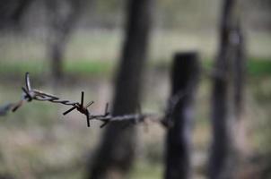 Macro shot of an element of old and rusty barbed wire with a blurred background. Fragment of a village fence of a territorial site photo
