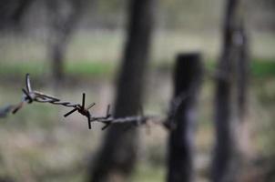 toma macro de un elemento de alambre de púas viejo y oxidado con un fondo borroso. fragmento de una valla de aldea de un sitio territorial foto