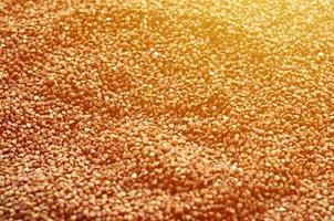 Background texture of a large pile of buckwheat. Many buckwheat grains close-up in daylight photo