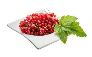 Red currant dish view photo