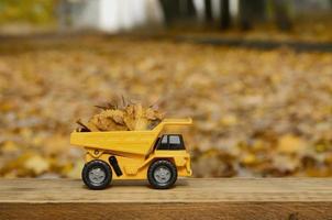 The concept of seasonal harvesting of autumn fallen leaves is depicted in the form of a toy yellow truck loaded with leaves against the background of the autumn park photo