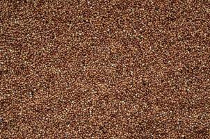 Background texture of a large pile of buckwheat. Many buckwheat grains close-up in daylight photo